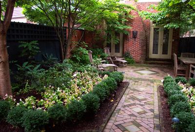 Overhead trees create a partially shaded space perfect for an afternoon nap or summer evening meal. The classic brick walkways are framed by dwarf boxwood hedges. Season long color is added to the garden with annual Begonia peaking out from behind the boxwoods. A repeating show year after year, from Peonies and Hydrangea, will further liven up the space throughout the season. A background planting of Mahonia combines with the Boxwood for evergreen character in the colder months when all the other plants have gone dormant and await the arrival of spring.