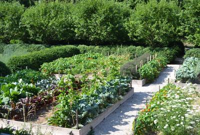 A large vegetable garden is maintained and nurtured through the season to provide produce for the family.